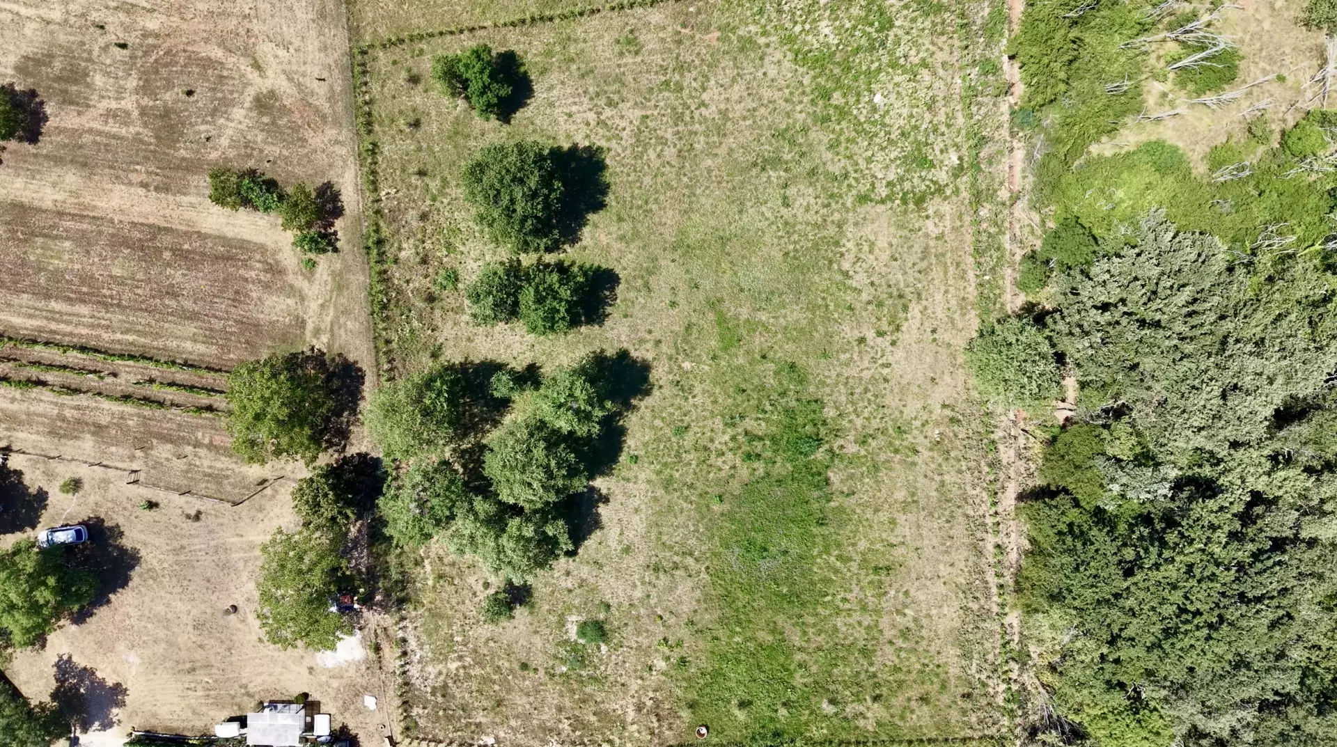 Land In Brtonigla, Croatia (4.973 M²)