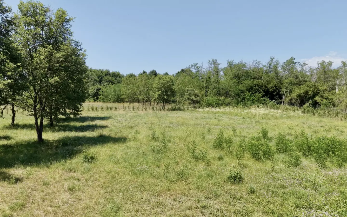 Land In Brtonigla, Croatia (4.973 M²)