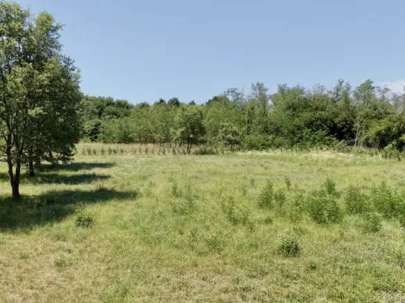 Land In Brtonigla, Croatia (4.973 M²)