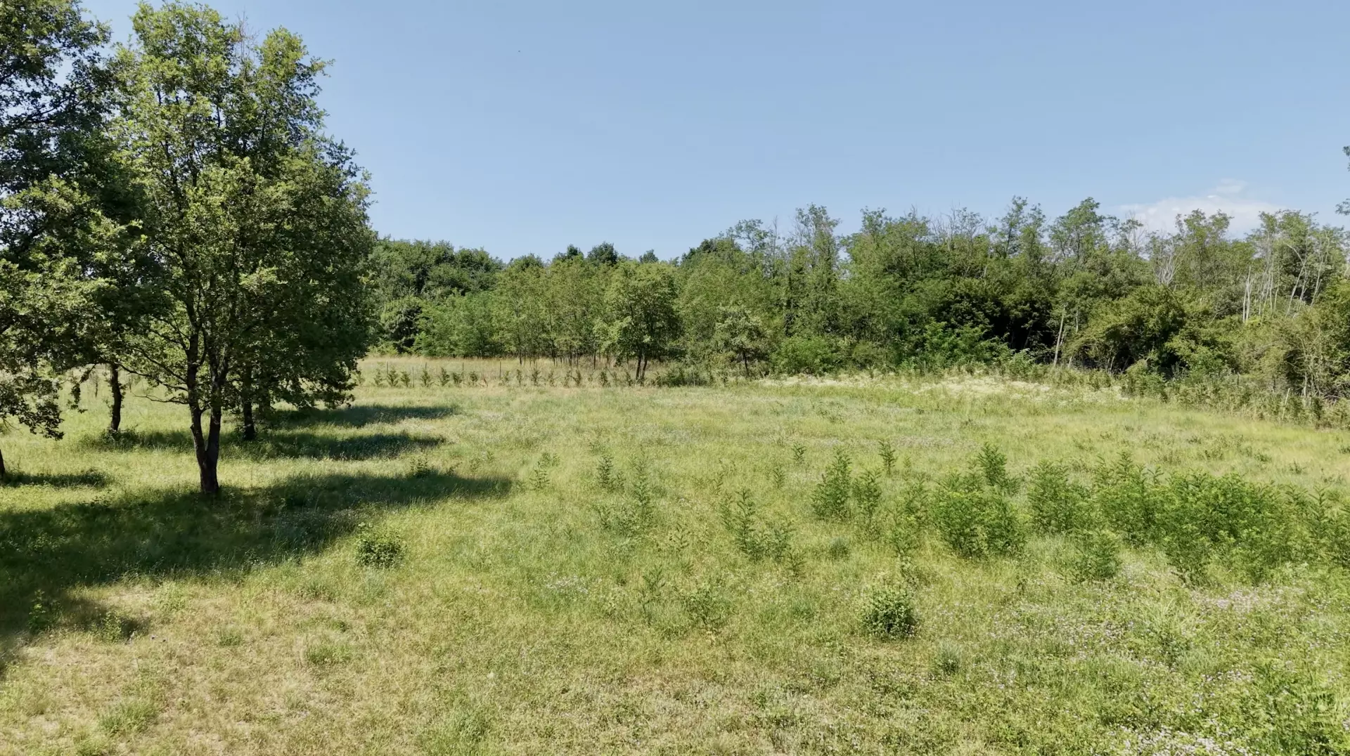Land In Brtonigla, Croatia (4.973 M²)
