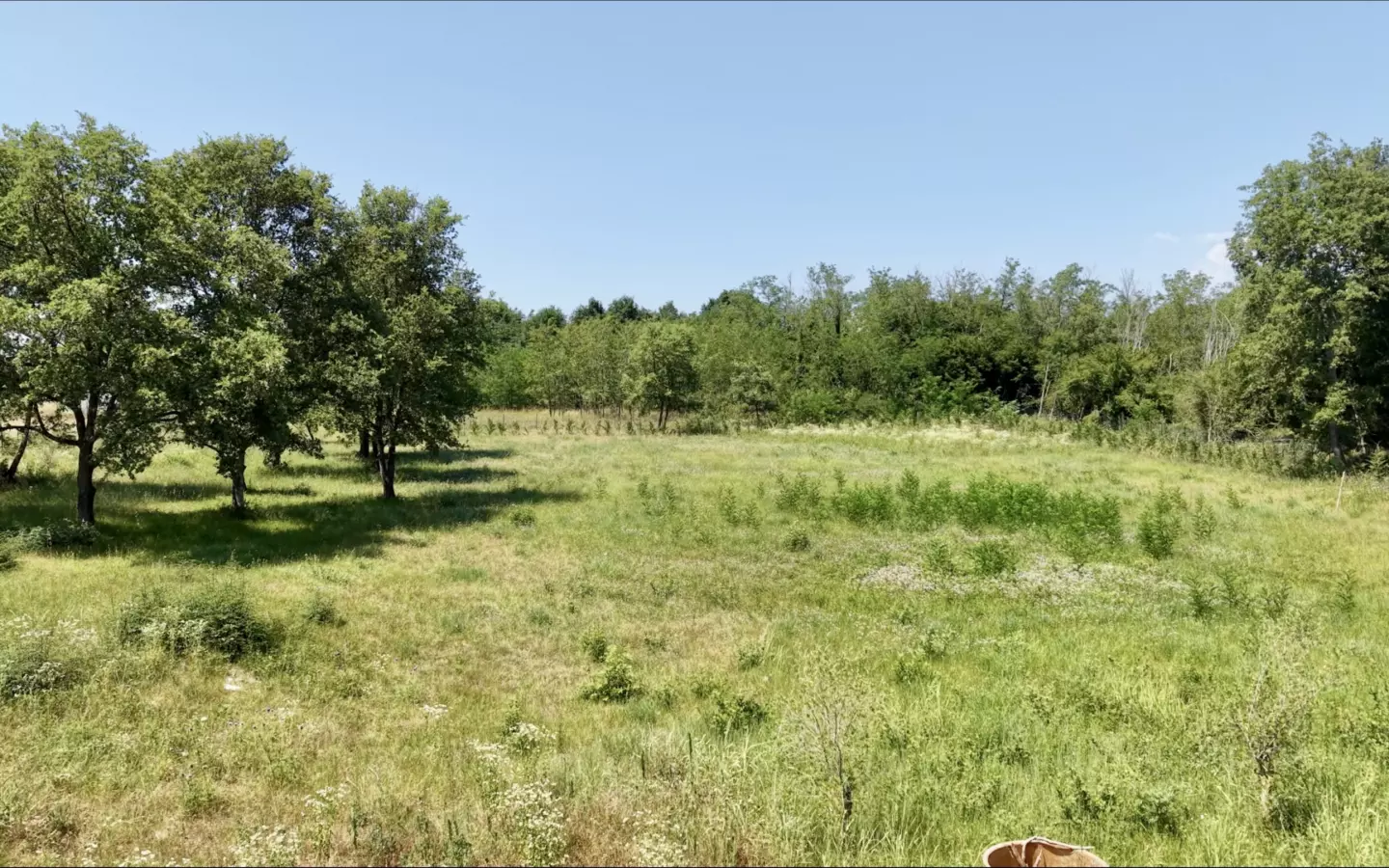 Land In Brtonigla, Croatia (4.973 M²)