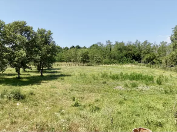 Land In Brtonigla, Croatia (4.973 M²)
