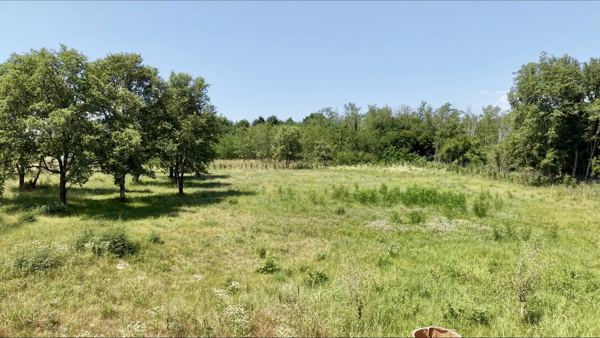 Land In Brtonigla, Croatia (4.973 M²)