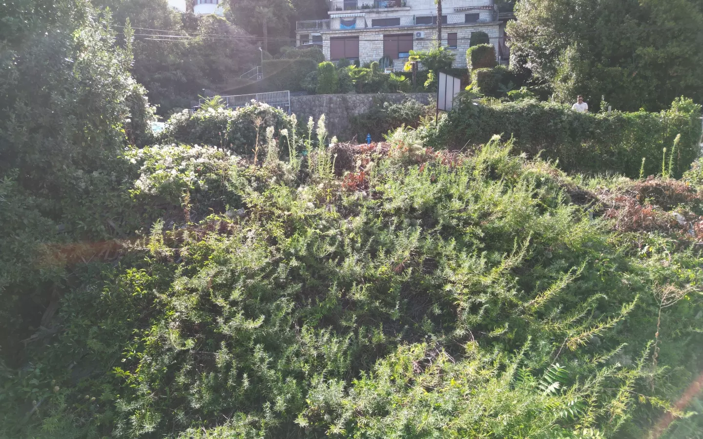 Land In Opatija – Centar, Croatia (529 M²)