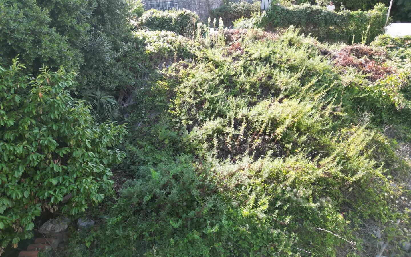 Land In Opatija – Centar, Croatia (529 M²)