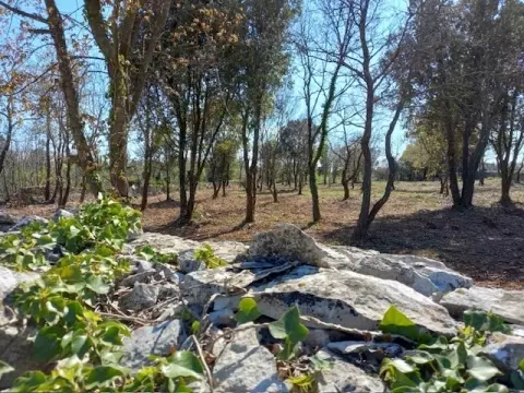 Land In Rakalj, Croatia (738 M²)