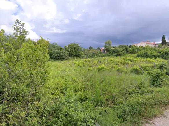Land In Labin, Croatia (2.102 M²)