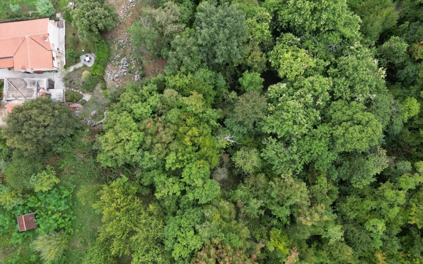 Land In Poljane, Croatia (675 M²)