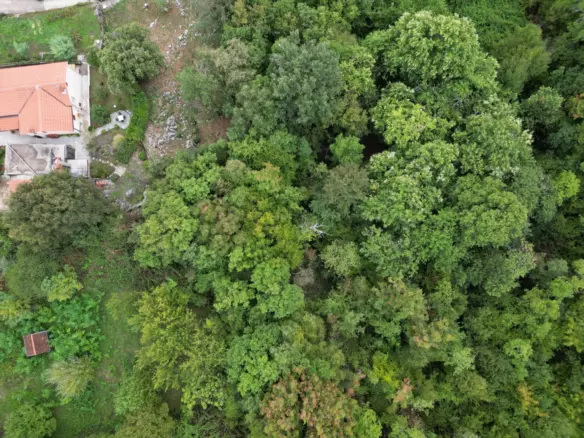 Land In Poljane, Croatia (675 M²)