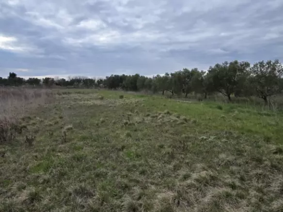 Land In Zemunik Donji, Croatia (2.547 M²)