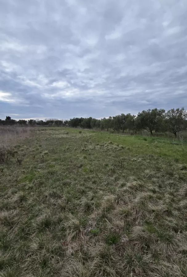 Land In Zemunik Donji, Croatia (2.547 M²)