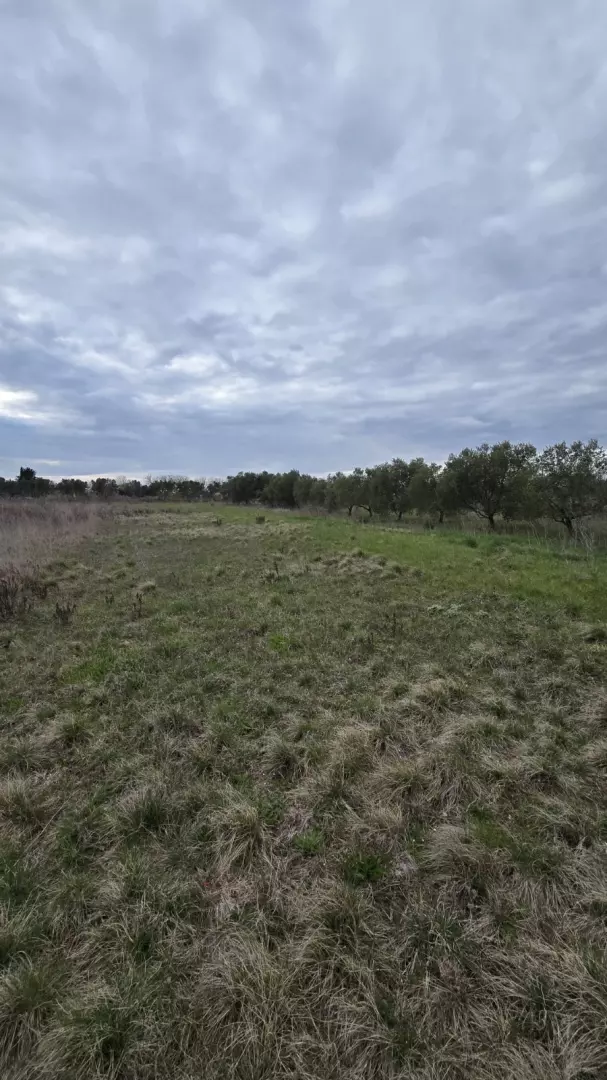 original_1789464787_03bc1842-06c0-4e1f-9e12-a88addf1a4b8-2cb879 Land In Zemunik Donji, Croatia (2.547 M²)