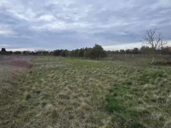 Land In Zemunik Donji, Croatia (2.547 M²)