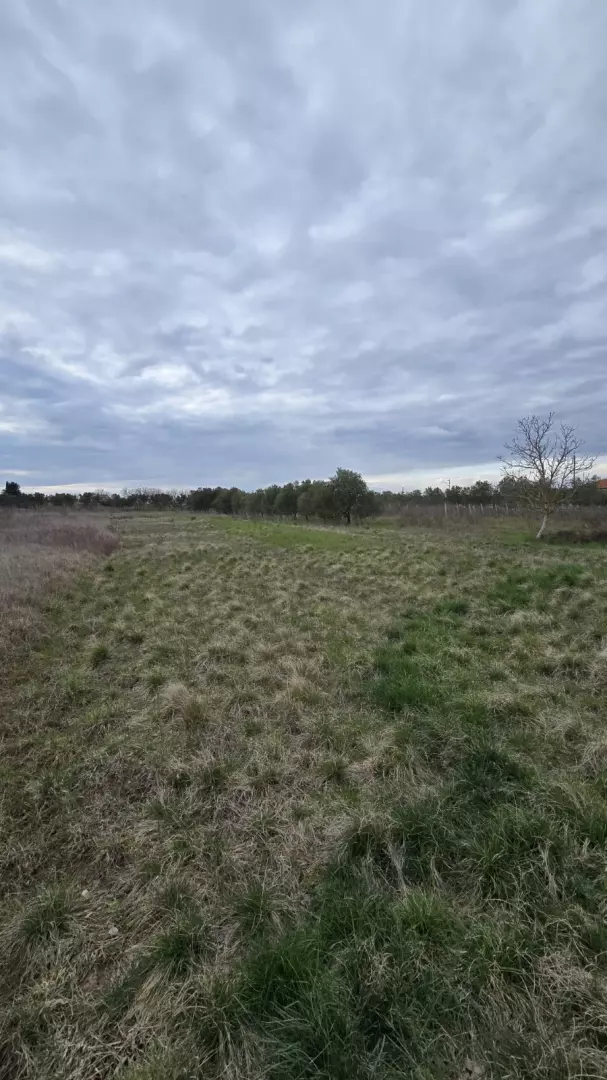 original_1789464803_526167f8-7f1e-42a9-93a8-81e5f9dcd2c5-101176 Land In Zemunik Donji, Croatia (2.547 M²)