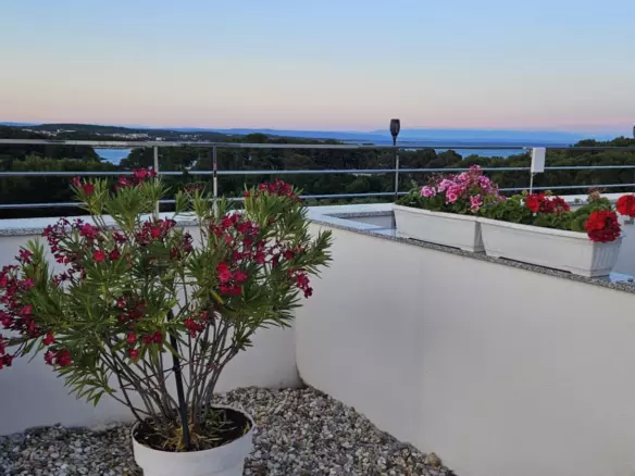 2-bedroom Apartment In Premantura, Croatia (9.015 M²)