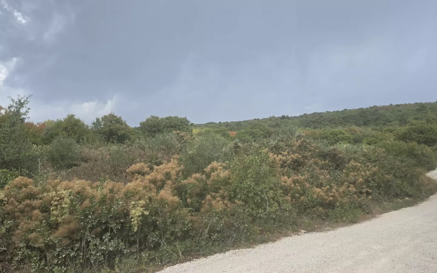 Land In Labin, Croatia (4.415 M²)