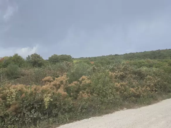 Land In Labin, Croatia (4.415 M²)