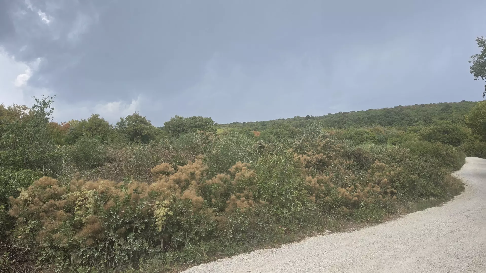 original_1789548754_81157-0ad7c9 Land In Labin, Croatia (4.415 M²)