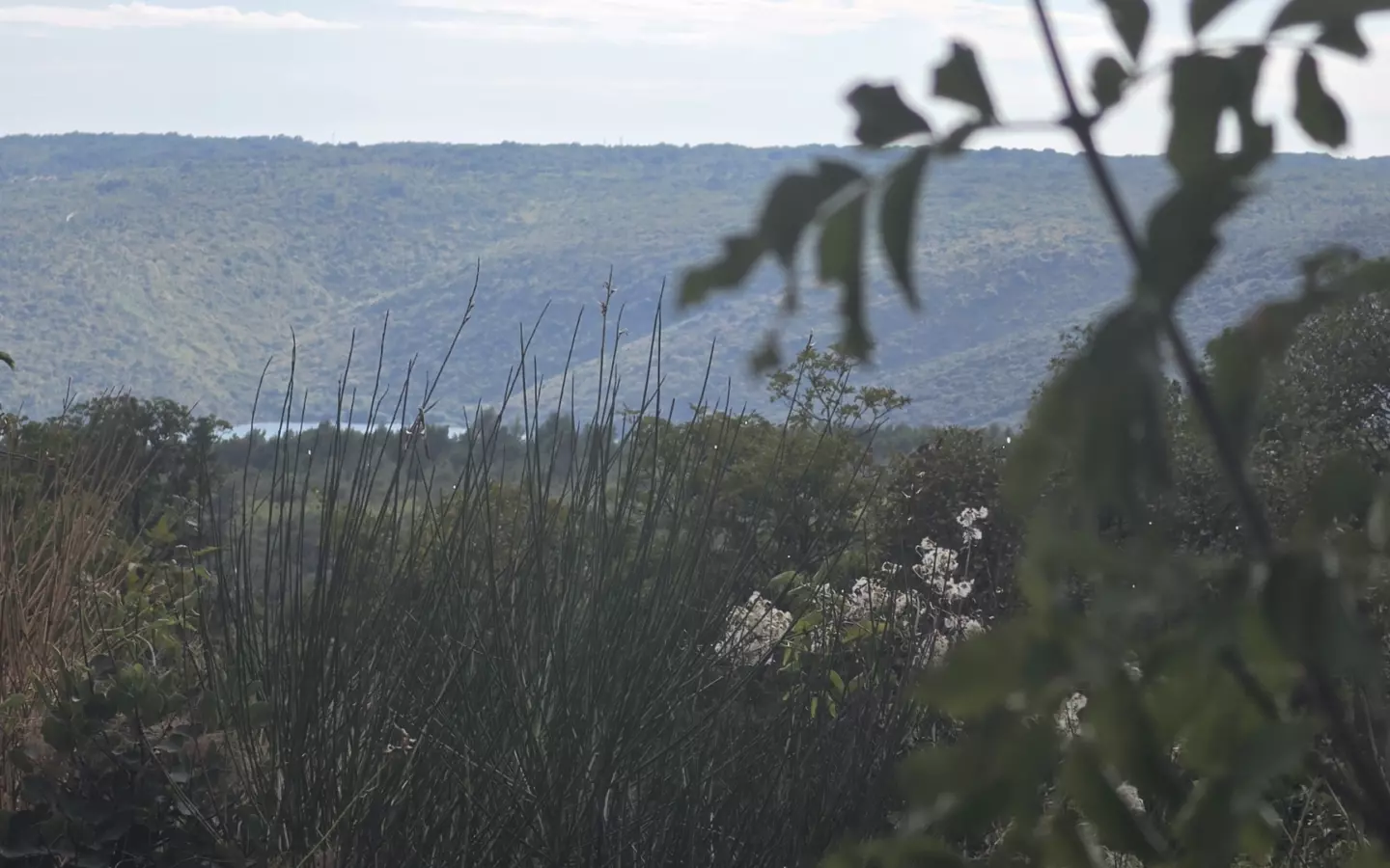 Land In Labin, Croatia (4.415 M²)