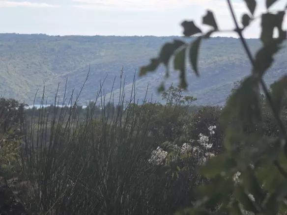 Land In Labin, Croatia (4.415 M²)
