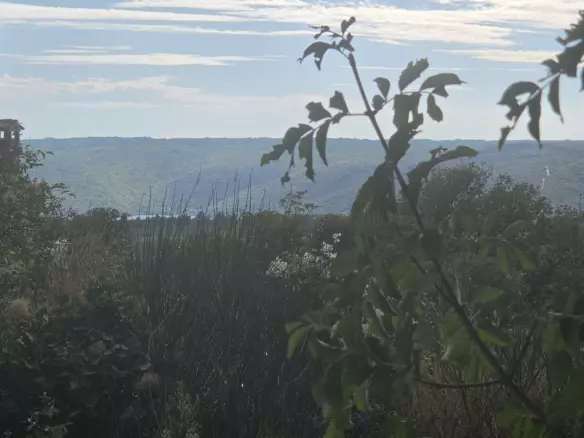 Land In Labin, Croatia (4.415 M²)