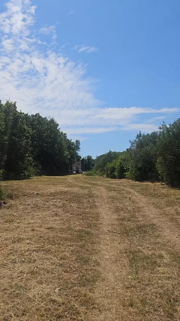 Land In Rakalj, Croatia (3.382 M²)