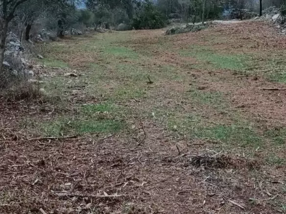 Land In Rakalj, Croatia (3.382 M²)