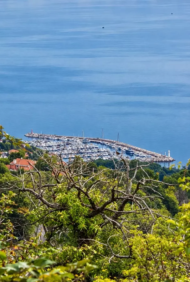 Land In Dobreć, Croatia (4.747 M²)
