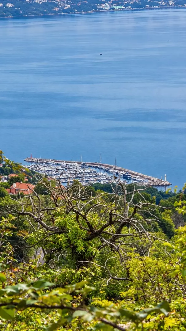 Land In Dobreć, Croatia (4.747 M²)