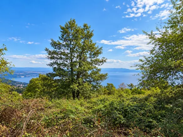 Land In Dobreć, Croatia (4.747 M²)