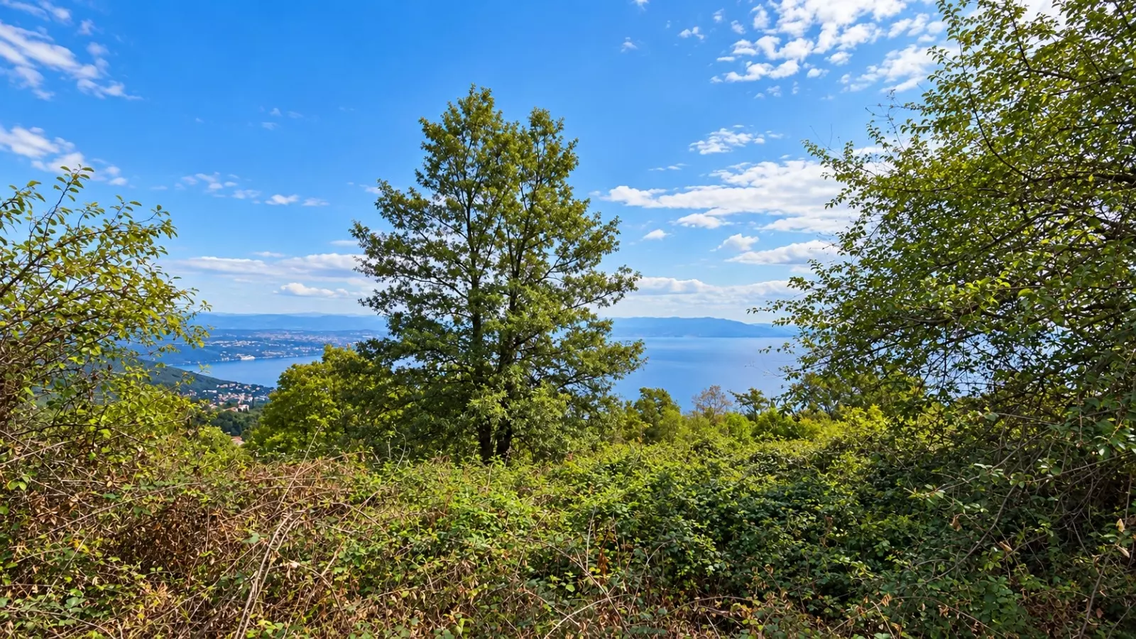 Land In Dobreć, Croatia (4.747 M²)