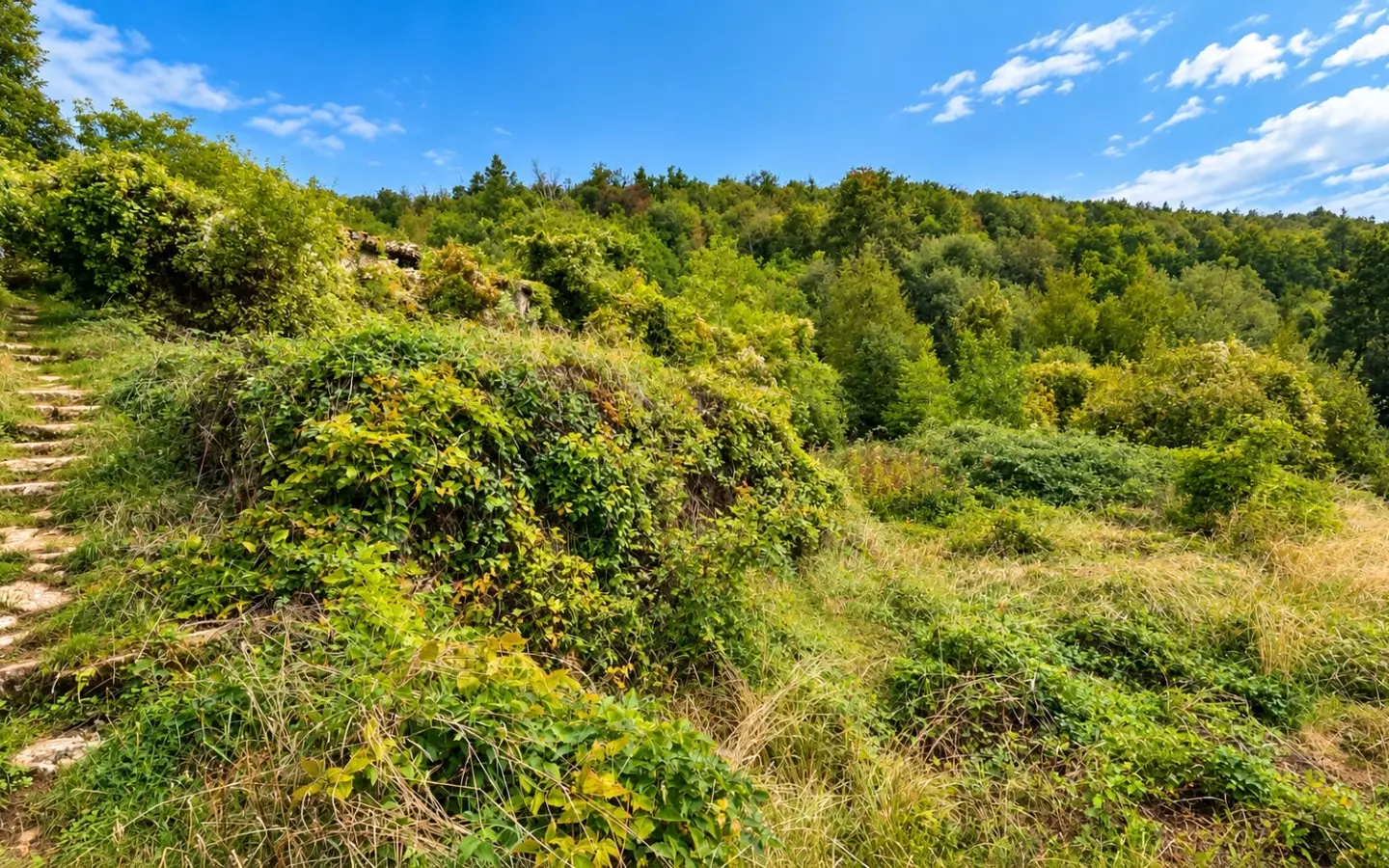 Land In Dobreć, Croatia (4.747 M²)