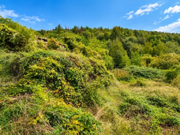 Land In Dobreć, Croatia (4.747 M²)