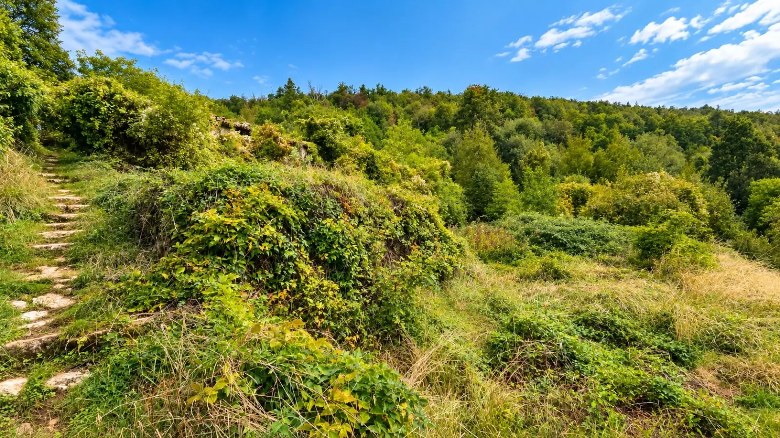 Land In Dobreć, Croatia (4.747 M²)