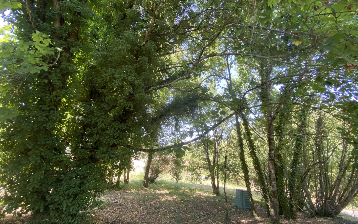 3-bedroom Village House In Rioux-martin, France (147 M²)