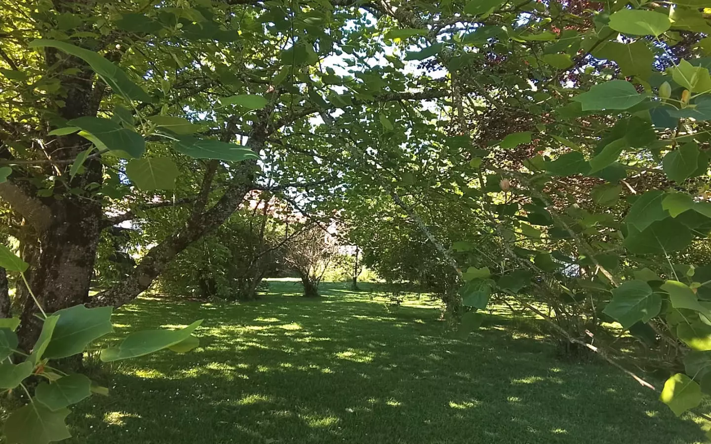 4-bedroom Country House In Nouic, France (117 M²)