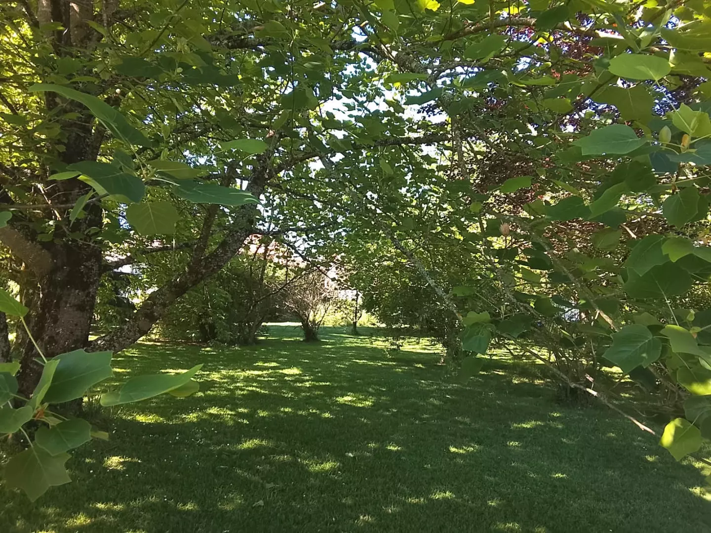 4-bedroom Country House In Nouic, France (117 M²)