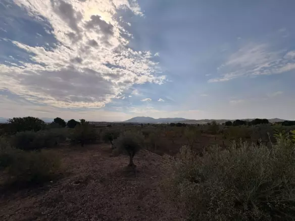3-bedroom Detached Villa In Caudete, Spain (180 M²)