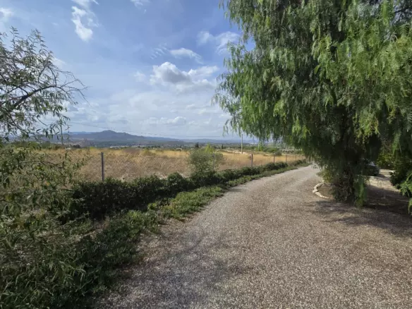 3-bedroom Detached Villa In Sax, Spain (127 M²)