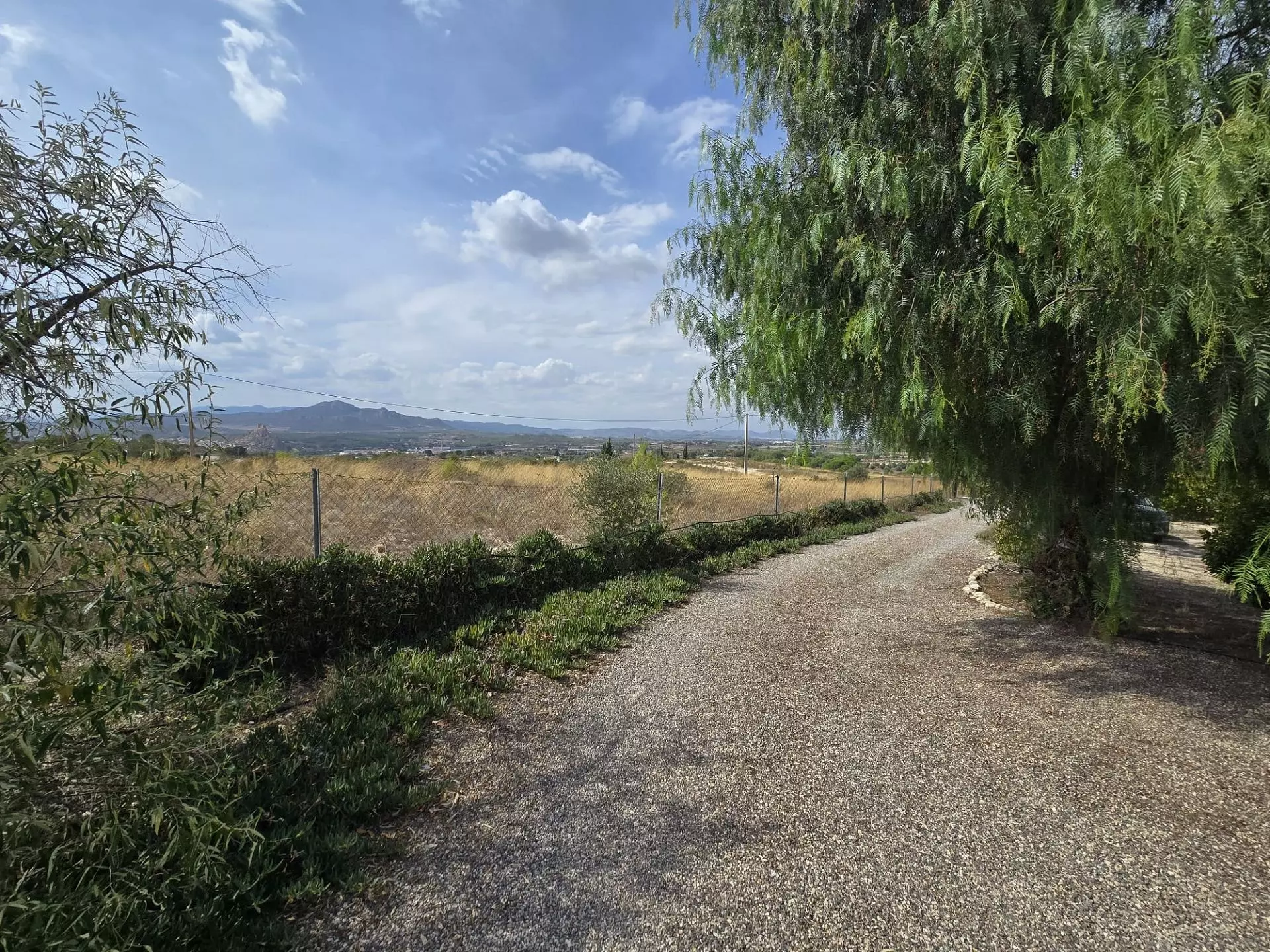 3-bedroom Detached Villa In Sax, Spain (127 M²)
