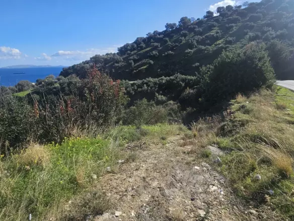 Land In Gazi, Greece