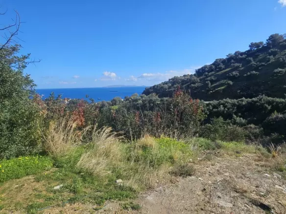 Land In Gazi, Greece
