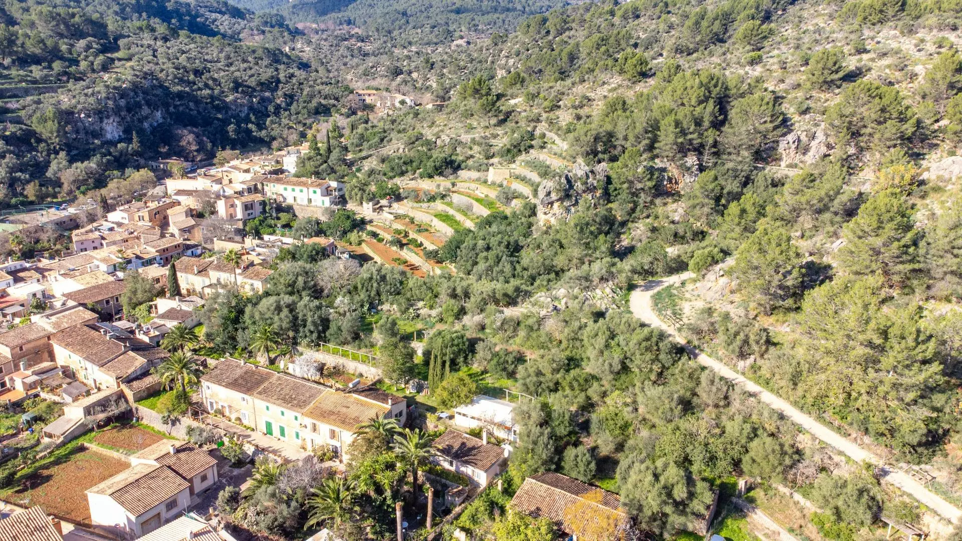 Property In Esporles, Spain (1.622 M² Plot)
