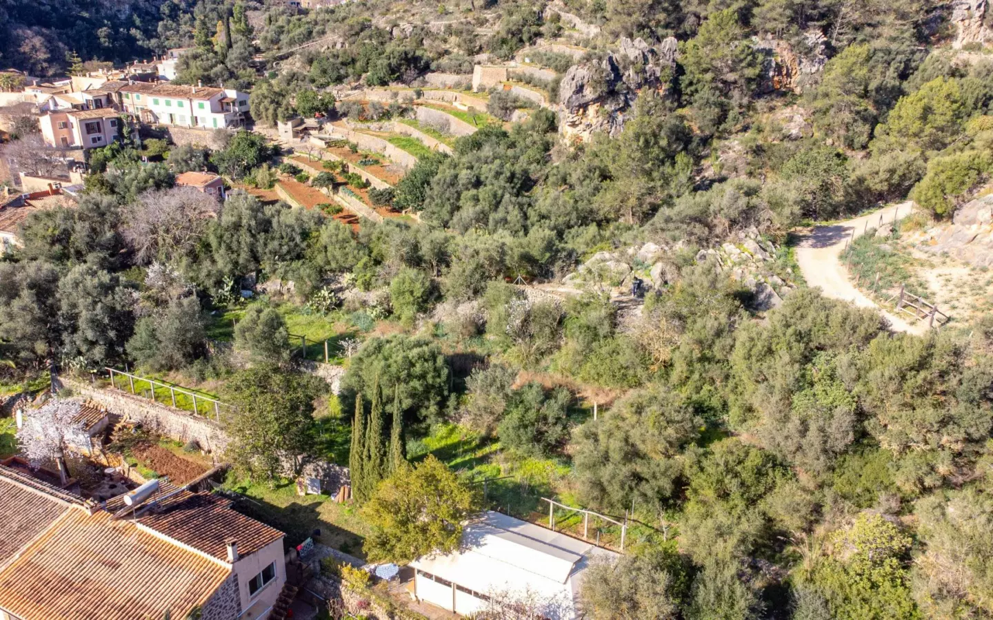 Property In Esporles, Spain (1.622 M² Plot)