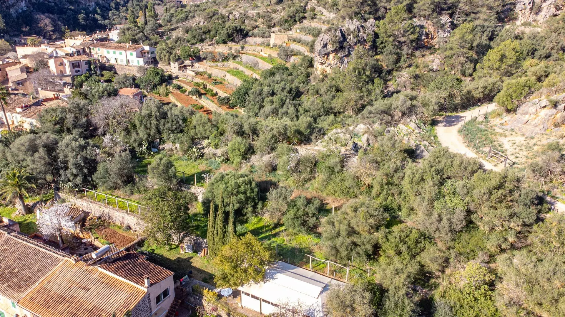Property In Esporles, Spain (1.622 M² Plot)