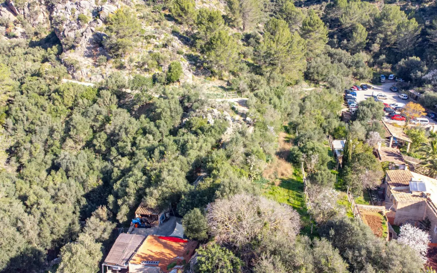 Property In Esporles, Spain (1.622 M² Plot)