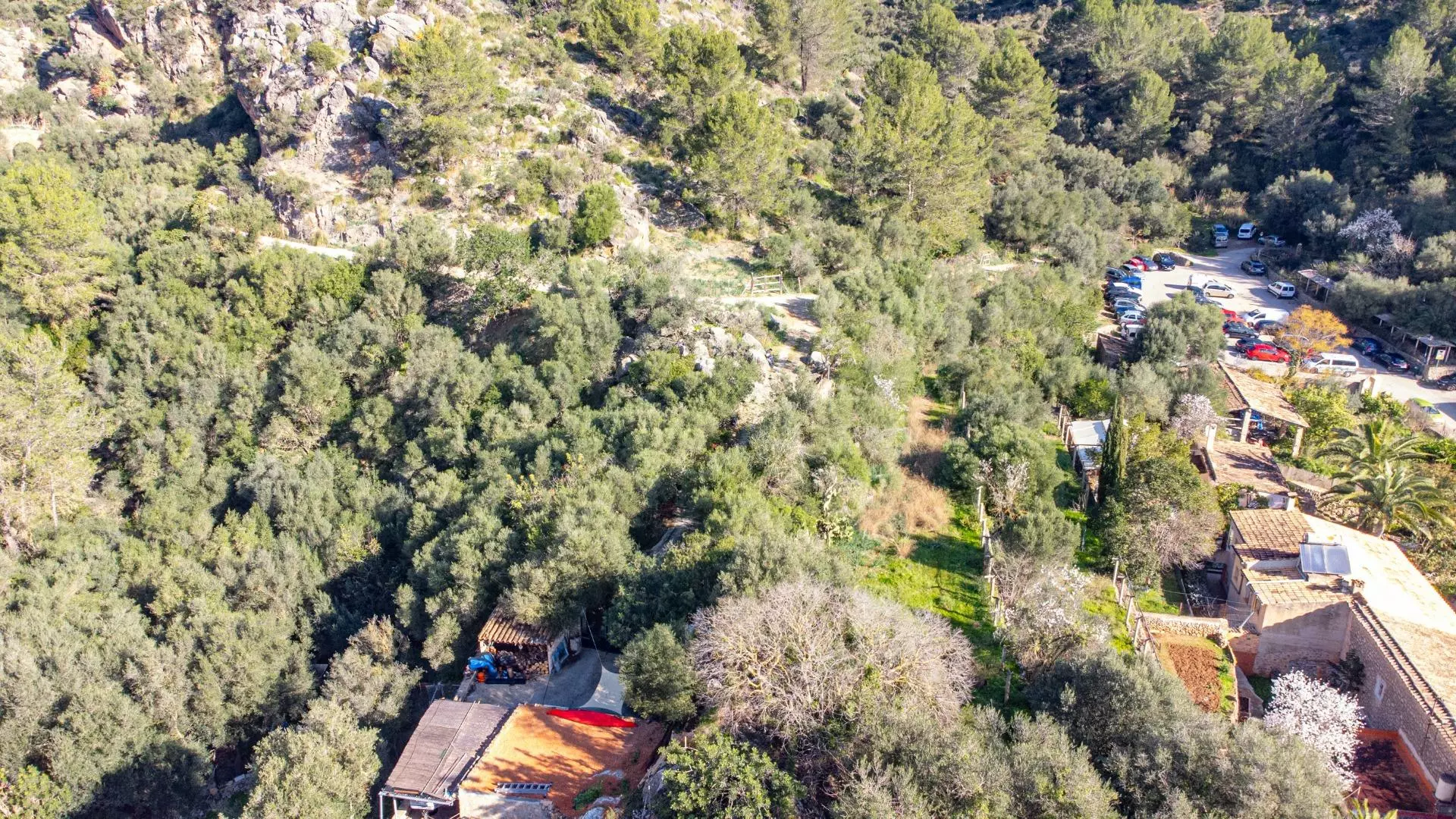 Property In Esporles, Spain (1.622 M² Plot)
