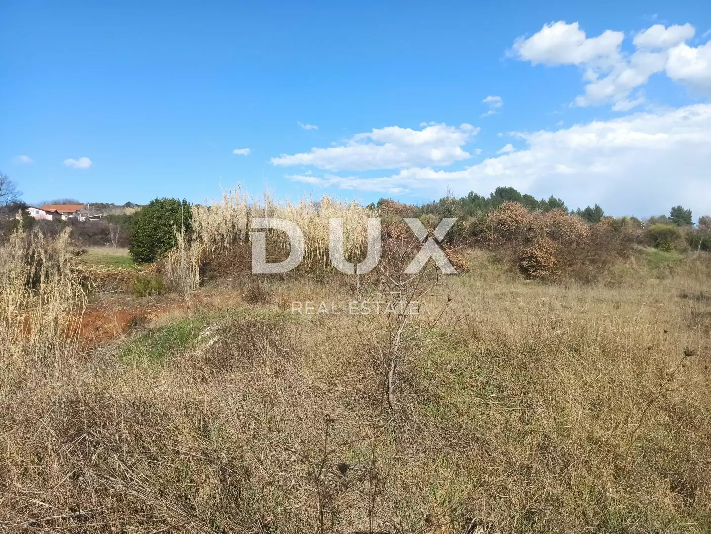Land In Šijana, Croatia (3.047 M²)
