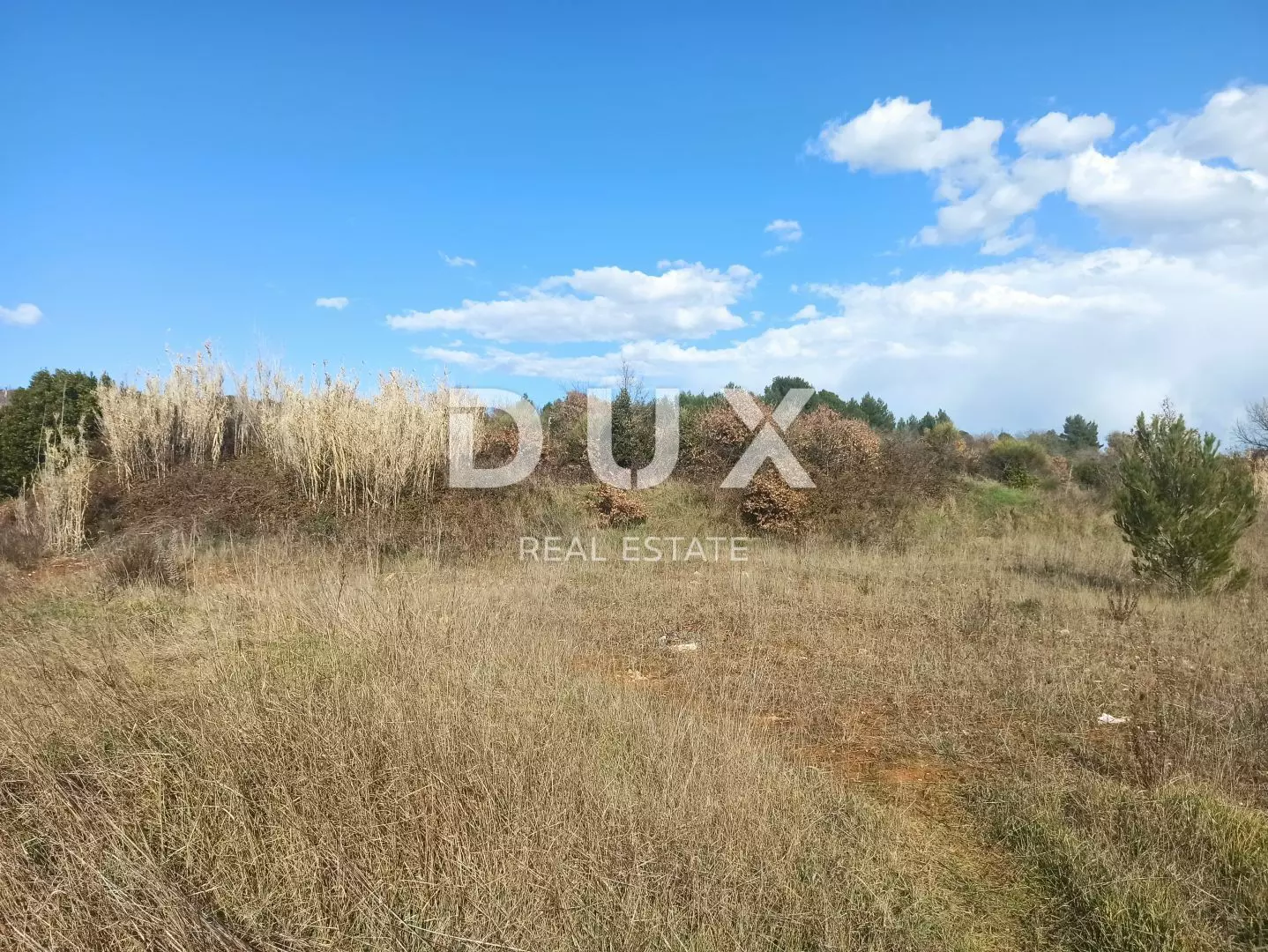 Land In Šijana, Croatia (3.047 M²)