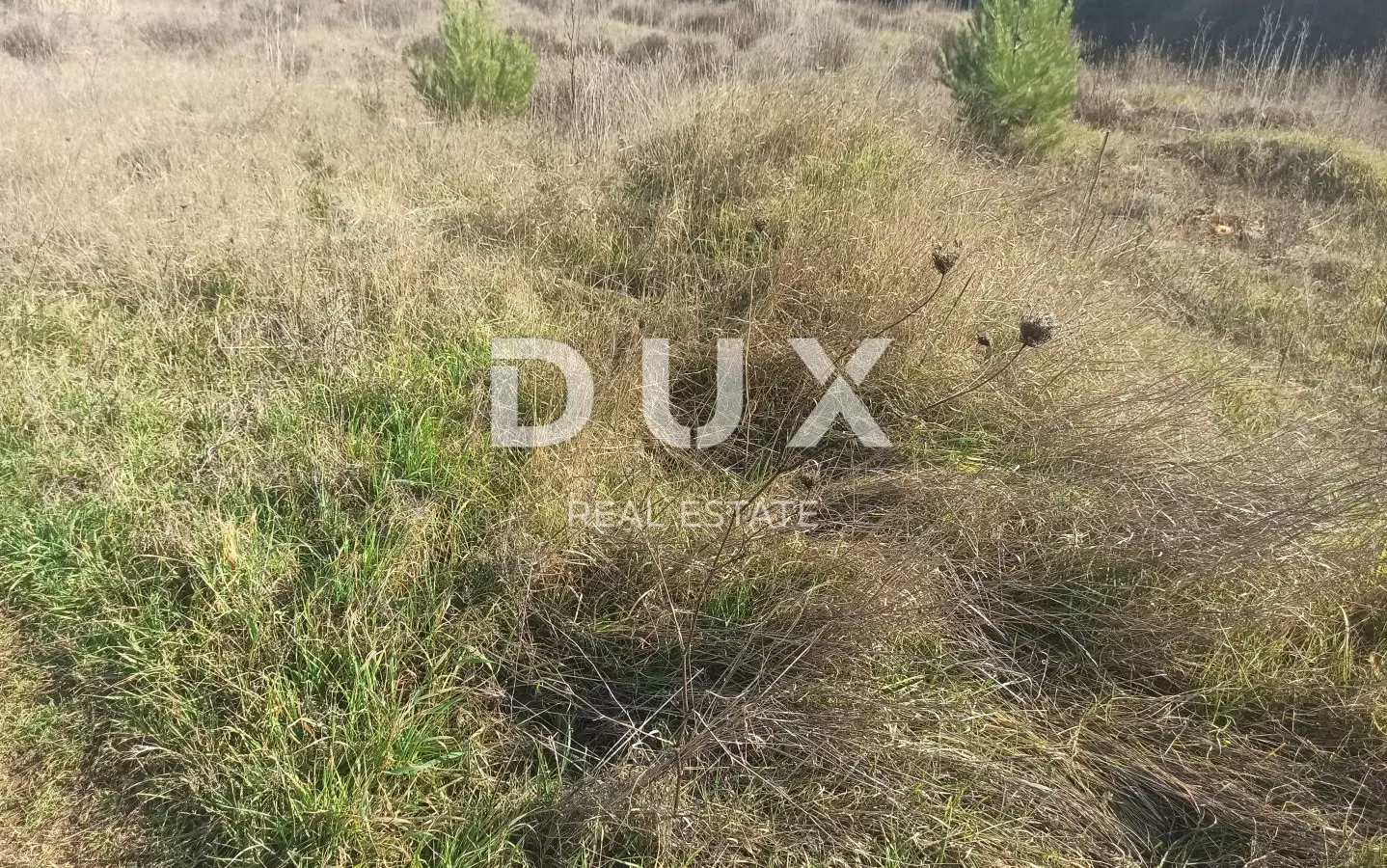 Land In Šijana, Croatia (3.047 M²)